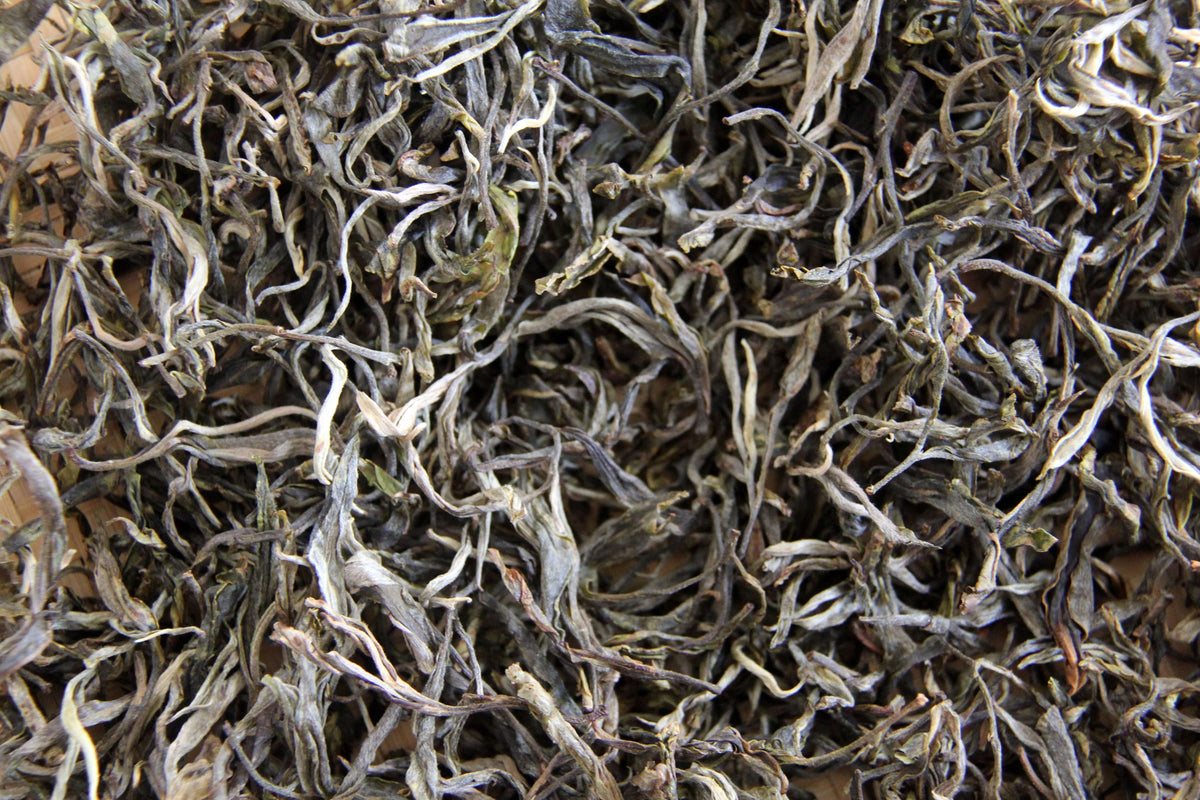 Sheng Puerh loose leaf tea. Close up picture of the relatively young (new) Sheng Puerh tea leaves.