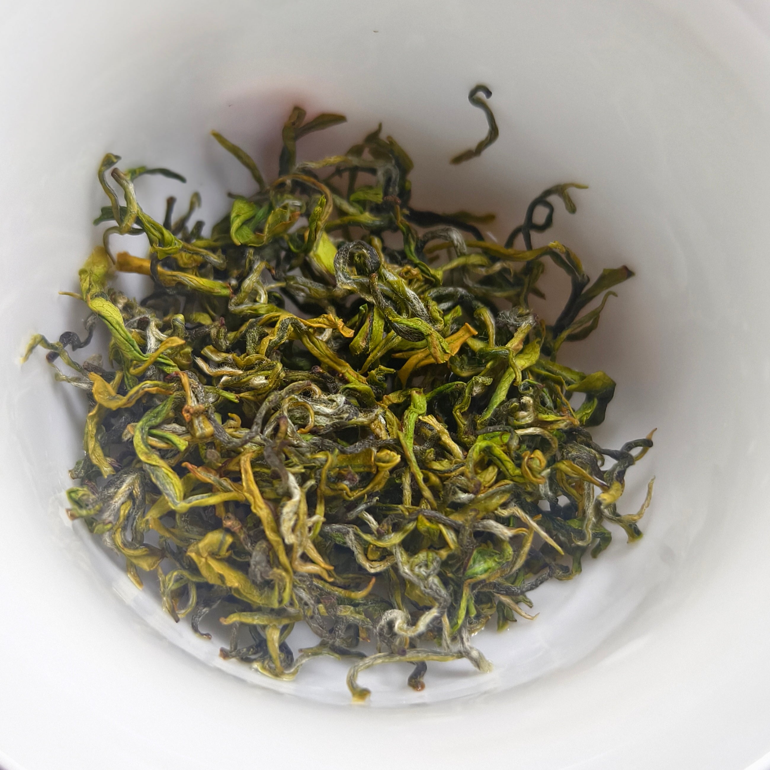 Bai Xiang Luo Jade Anji Green Tea