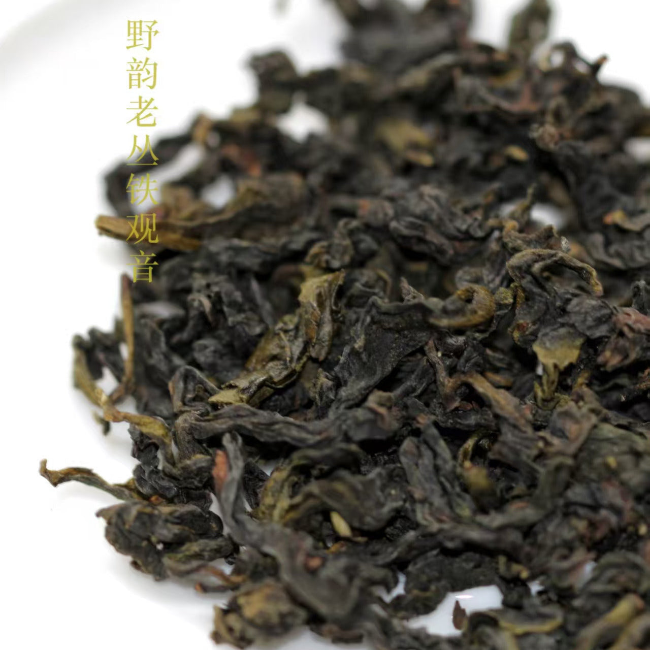 Yeyun Laocong Tieguanyin Oolong Tea dry leaf. Abandoned tea garden Tie Guan Yin tea.