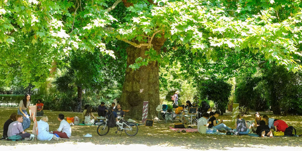 London Tea Fest 2025