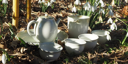 Dehua whitea teapot teaset and Chinese gongfu tea cups, surrounded by bamboo and snowdrops.