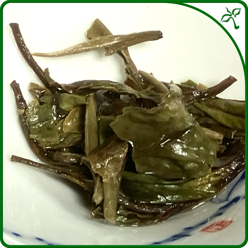 Chinese white tea - Baimudan White Tea - Wet leaves in a Chinese tea cup