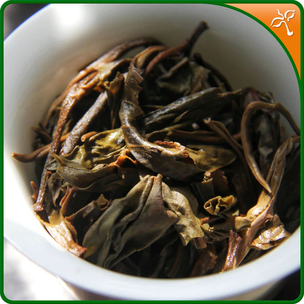 Sheng Puerh Tea Leaf. Freshly brewed, single origin, ancient tea tree raw puerh tea from Yunnan.