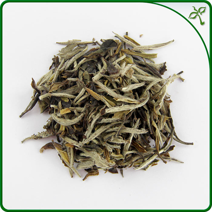 Mu Can Tea Bai Mu Dan White Tea - Premium Grade - 2018 Harvest - Loose Tea