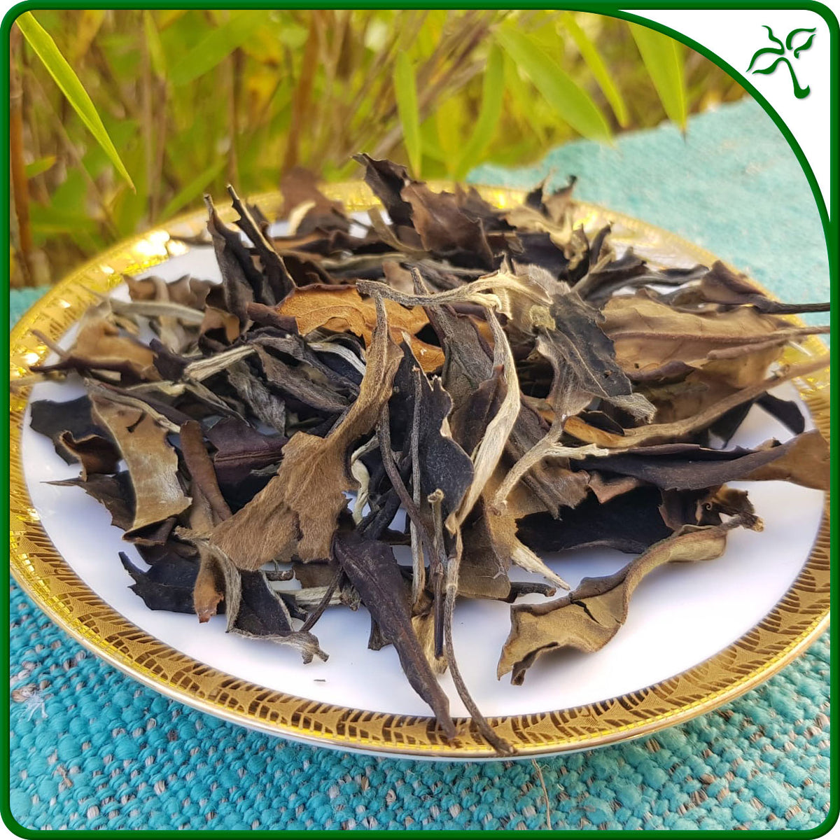 Yunnan White Tea
