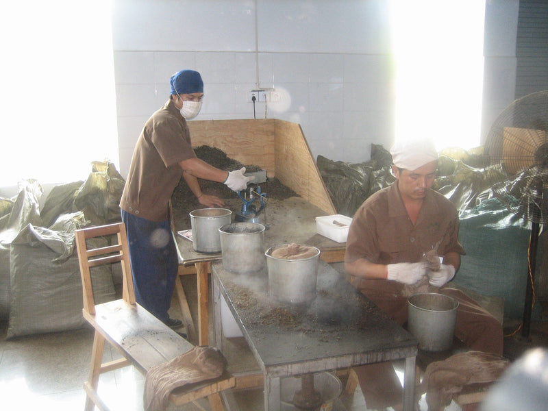 Ji Di Old Tea Tree Sheng Puerh